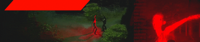 niestandardowe_obrazy.gif?t=1710413854