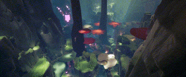 Environment_Banner_Gif.gif?t=1702678919