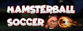 HamsterBall Soccer