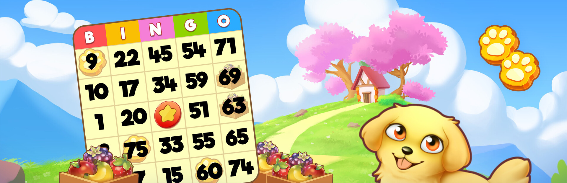 Bingo Pets Save The Pets