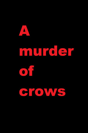 A murder of crows cover art