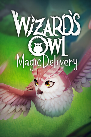 Wizards Owl: Magic Delivery cover art