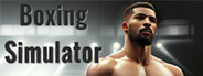 Boxing Simulator