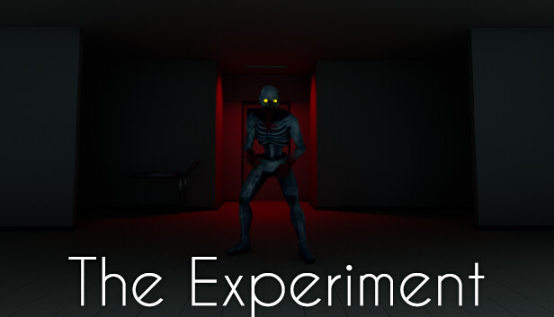 The Experiment