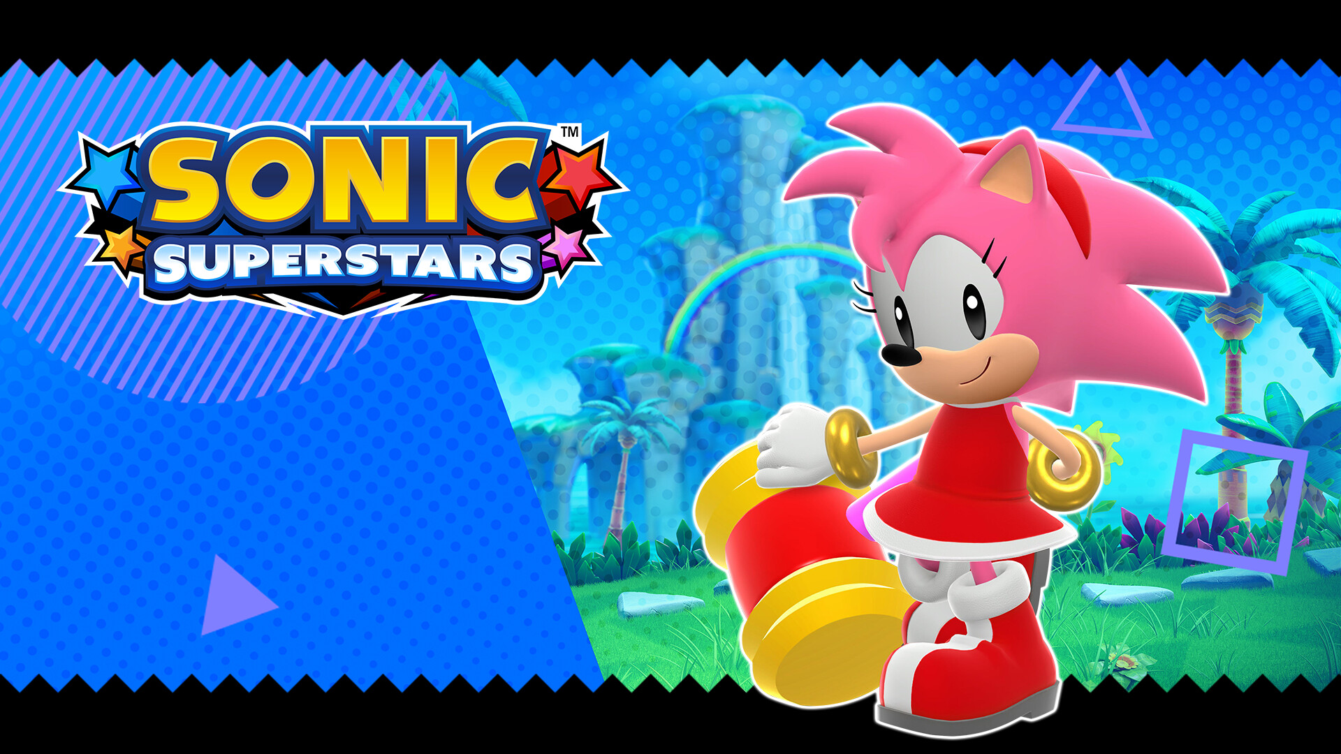 Sonic the Hedgehog - Amy Definitive Edition