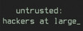 Untrusted: hackers at large