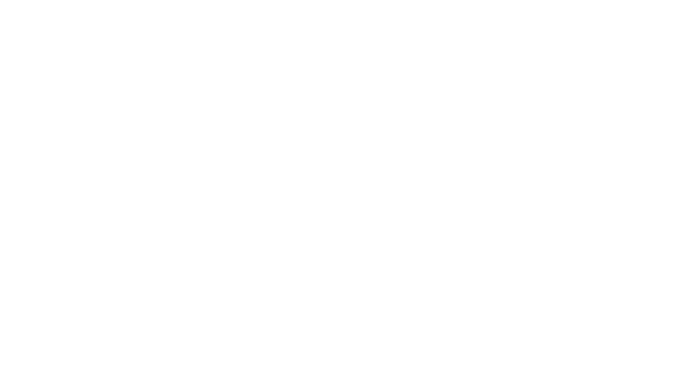The Forest of Conx