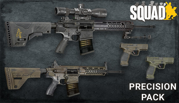 Squad Weapon Skins - Precision Strike Pack Steam capsule image