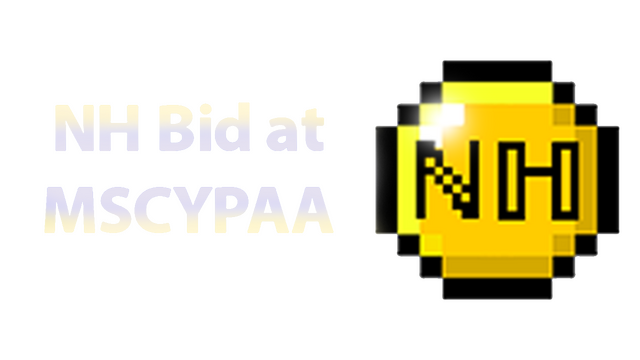 NH Bid at MSCYPAA: The Game