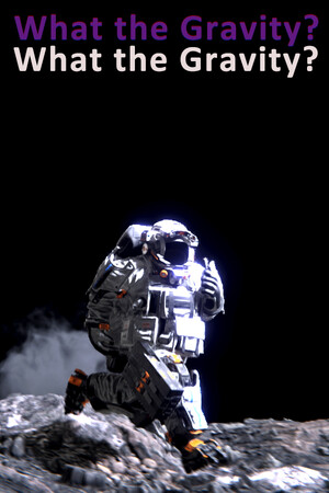What The Gravity cover art