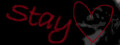 Stay