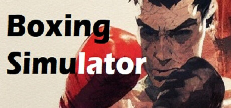 Boxing Simulator
