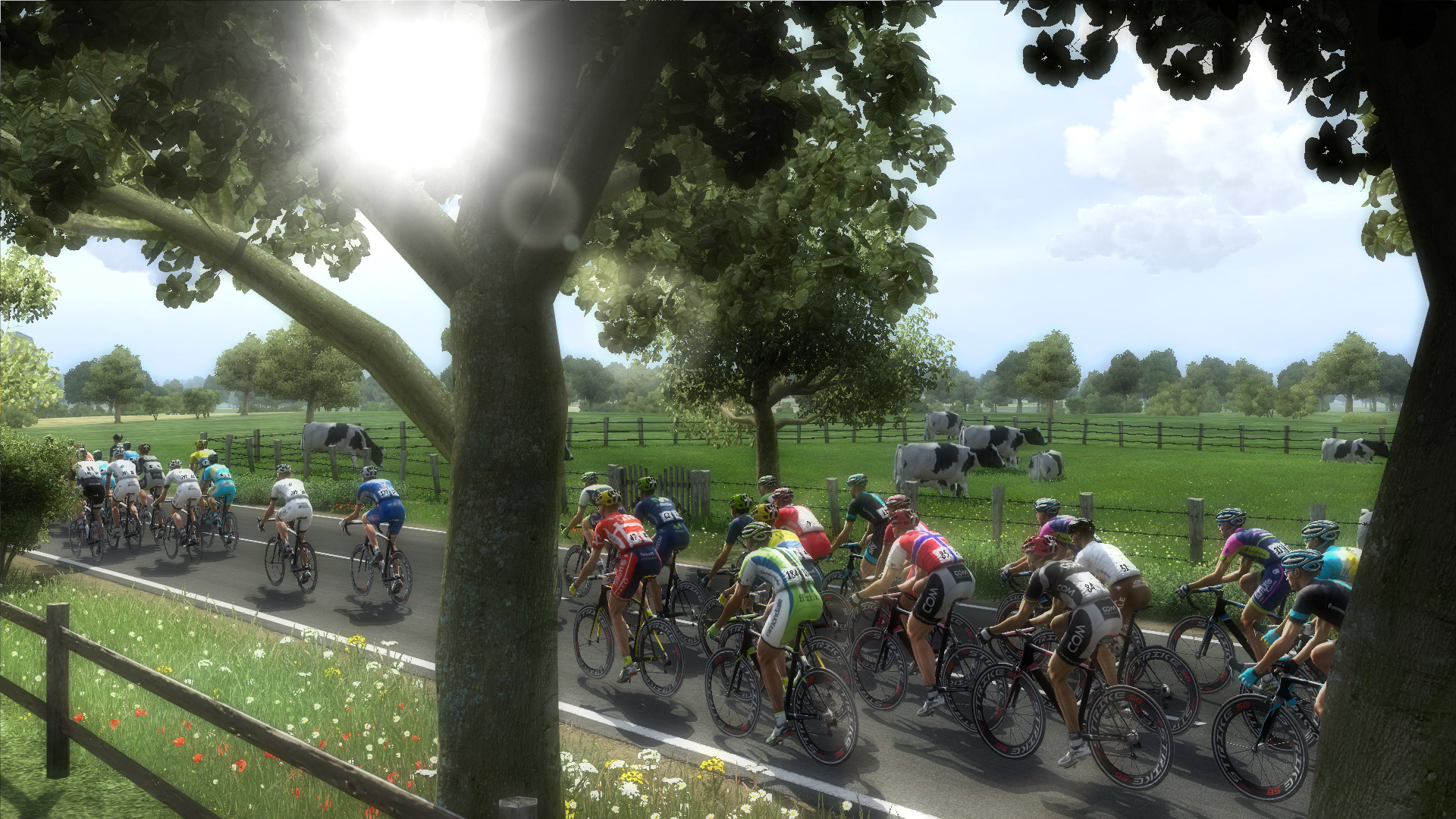 Pro Cycling Manager Games, PC and Steam Keys