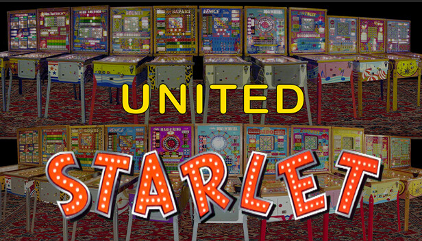 Bingo Pinball Gameroom - United Starlet Steam capsule image