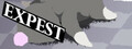 EXPEST