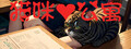 猫咪公寓