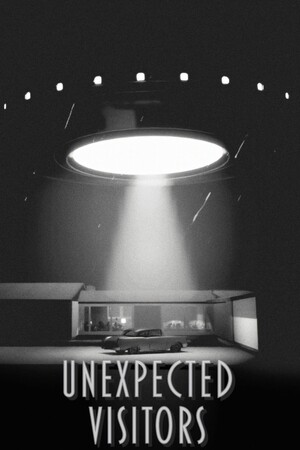 Unexpected Visitors cover art