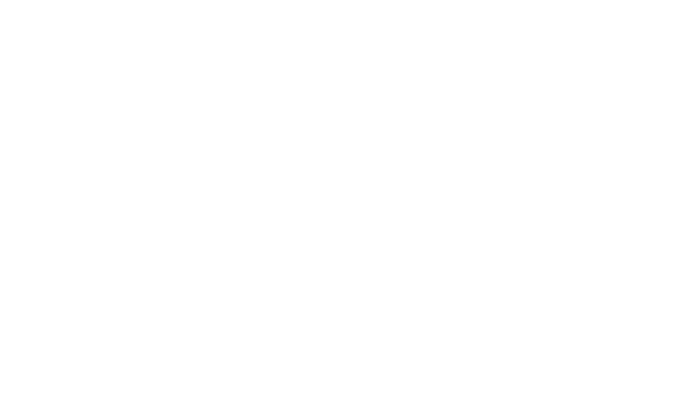 Roles & Dice