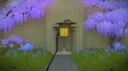 the witness steam