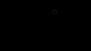 Trailer 3