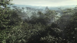 Trailer 4
