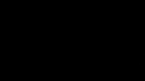 Trailer 5