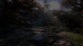 Dark and Light video
