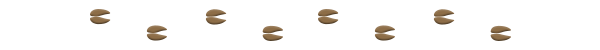 Divider_footsteps.png?t=1711030374