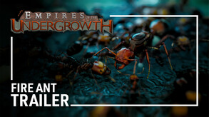 Empires of the Undergrowth video