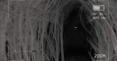stalker3.gif?t=1704475139