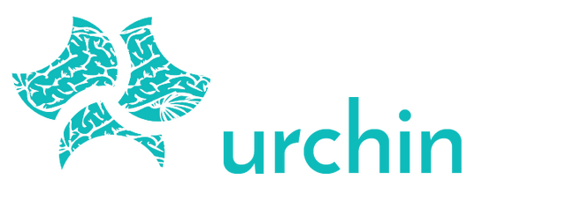 Urchin
