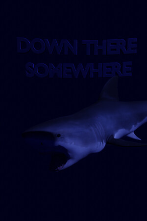 Down There Somewhere cover art