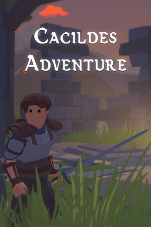 Cacildes Adventure cover art