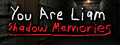You Are Liam: Shadow Memories