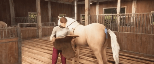 04._Your_dream_horse.gif?t=1710330967