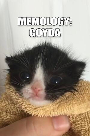 MEMOLOGY: GOYDA cover art