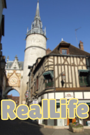 RealLife cover art