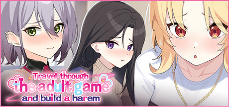 Travel through the adult game and build a harem