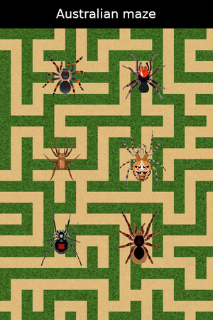Australian maze cover