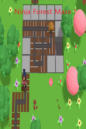 Ninja Forest Maze cover art