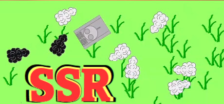SSR Cover Image