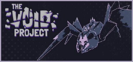 The Void Project Cover Image