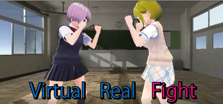 Virtual Real Fight header image