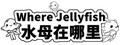 Where Jellyfish 水母在哪里