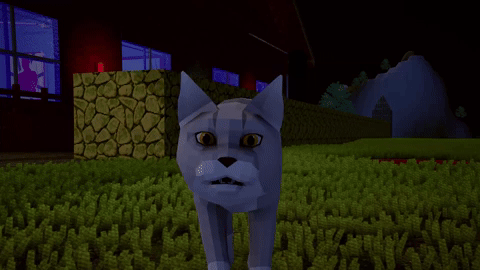 Feline Shenanigans