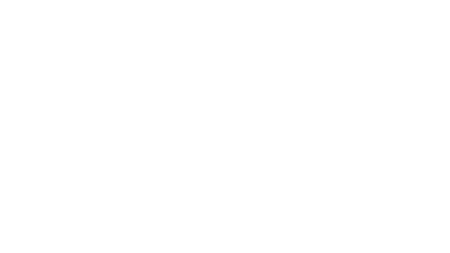 Reckless Rally