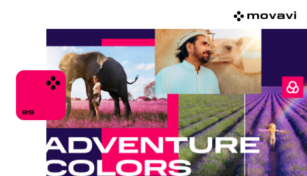 Movavi Video Suite 2024 - Adventure Colors Gift Pack Steam capsule image