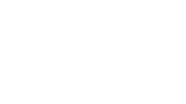 Project N.E.X.T