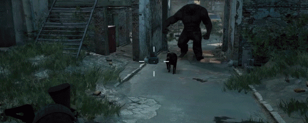 slum.gif?t=1706238929