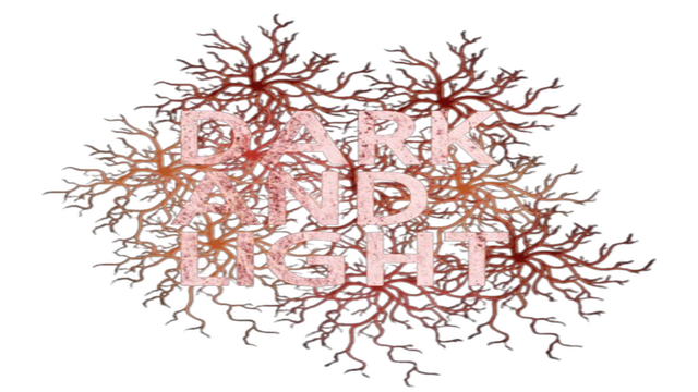 DarkAndLight